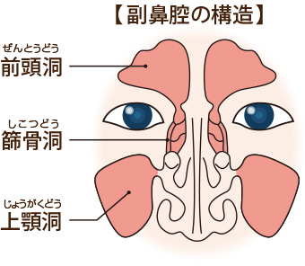 副鼻腔炎