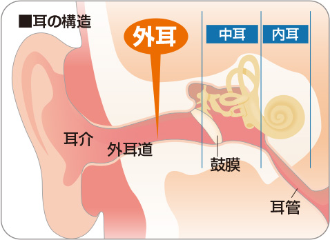 炎 は 外耳 と