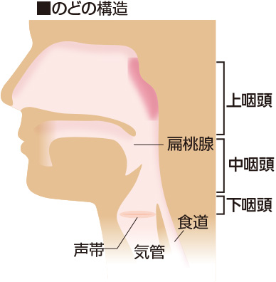 咽頭炎 のど風邪 春日井市の坂井耳鼻咽喉科